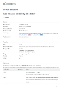 Anti-FRMD7 antibody ab121119 Product datasheet 2 Images Overview