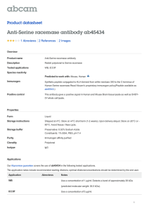 Anti-Serine racemase antibody ab45434 Product datasheet 1 Abreviews 2 Images