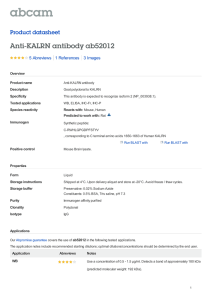 Anti-KALRN antibody ab52012 Product datasheet 5 Abreviews 3 Images