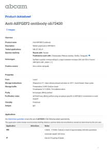 Anti-ARFGEF2 antibody ab72420 Product datasheet 3 Images