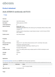 Anti-ATXN10 antibody ab72101 Product datasheet 1 Image