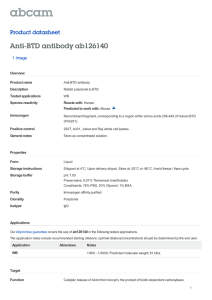 Anti-BTD antibody ab126140 Product datasheet 1 Image