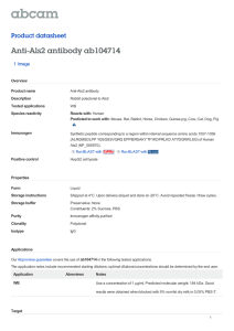 Anti-Als2 antibody ab104714 Product datasheet 1 Image