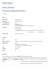 Anti-Als2 antibody ab123515 Product datasheet 1 Image