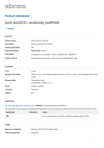 Anti-ALS2CR1 antibody ab89282 Product datasheet 2 Images Overview