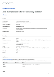 Anti-Butyrylcholinesterase antibody ab82307 Product datasheet 1 Image Overview