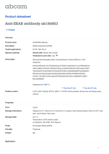 Anti-ERAB antibody ab186853 Product datasheet 3 Images