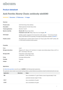Anti-Ferritin Heavy Chain antibody ab65080 Product datasheet 1 Abreviews 4 Images