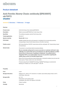 Anti-Ferritin Heavy Chain antibody [EPR3005Y] ab75972