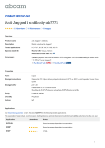 Anti-Jagged1 antibody ab7771 Product datasheet 5 Abreviews 4 Images