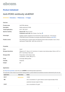 Anti-PON2 antibody ab40969 Product datasheet 1 Abreviews 4 Images