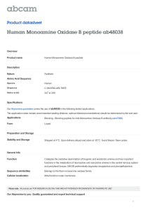 Human Monoamine Oxidase B peptide ab48038 Product datasheet Overview Product name