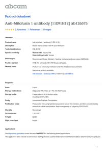 Anti-Mitofusin 1 antibody [11E91H12] ab126575 Product datasheet 2 Abreviews 3 Images