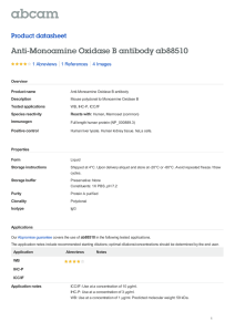 Anti-Monoamine Oxidase B antibody ab88510 Product datasheet 1 Abreviews 4 Images