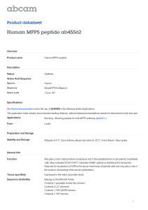 Human MPP5 peptide ab45562 Product datasheet Overview Product name