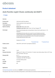 Anti-Ferritin Light Chain antibody ab186871 Product datasheet 2 Images Overview