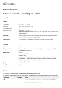 Anti-GRC5 / PHF2 antibody ab124434 Product datasheet 1 Image