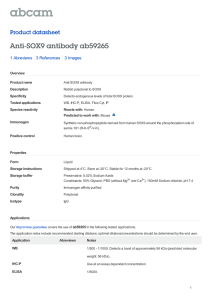 Anti-SOX9 antibody ab59265 Product datasheet 1 Abreviews 3 Images
