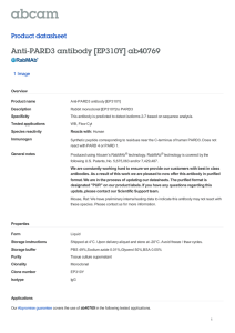 Anti-PARD3 antibody [EP310Y] ab40769 Product datasheet 1 Image Overview