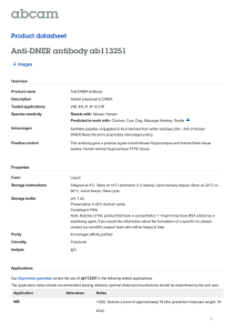 Anti-DNER antibody ab113251 Product datasheet 4 Images
