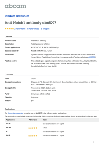 Anti-Notch1 antibody ab65297 Product datasheet 2 Abreviews 6 Images