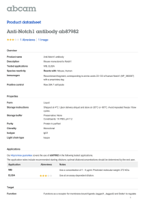 Anti-Notch1 antibody ab87982 Product datasheet 1 Abreviews 1 Image