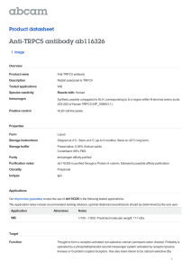 Anti-TRPC5 antibody ab116326 Product datasheet 1 Image Overview