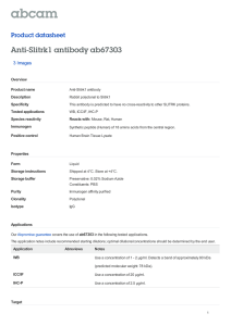 Anti-Slitrk1 antibody ab67303 Product datasheet 3 Images Overview