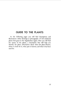 PLANTS GUIDE  TO  THE find