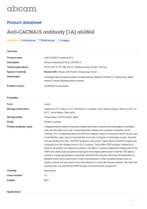 Anti-CACNA1S antibody [1A] ab2862 Product datasheet 2 Abreviews 3 Images