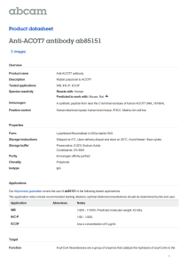 Anti-ACOT7 antibody ab85151 Product datasheet 3 Images