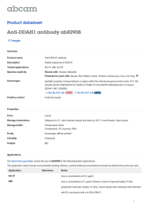 Anti-DDAH1 antibody ab82908 Product datasheet 6 Images