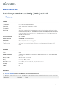 Anti-Phosphoserine antibody (Biotin) ab9335 Product datasheet 1 References Overview