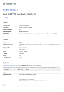 Anti-AKR7A2 antibody ab56442 Product datasheet 1 Image Overview