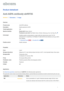 Anti-ASPA antibody ab90725 Product datasheet 1 Abreviews 1 Image