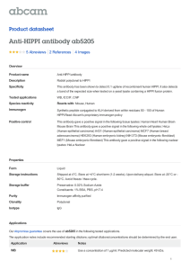 Anti-HIPPI antibody ab5205 Product datasheet 5 Abreviews 4 Images