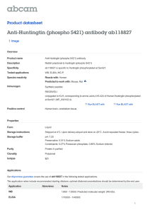 Anti-Huntingtin (phospho S421) antibody ab118827 Product datasheet 1 Image Overview
