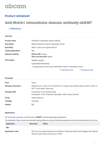 Anti-Notch1 intracellular domain antibody ab8387 Product datasheet 2 References Overview