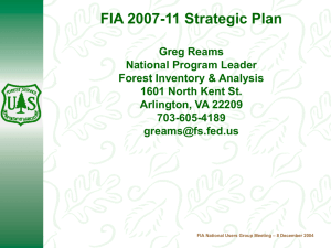 FIA 2007-11 Strategic Plan