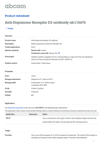 Anti-Dopamine Receptor D3 antibody ab115675 Product datasheet 1 Image