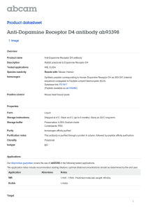 Anti-Dopamine Receptor D4 antibody ab93398 Product datasheet 1 Image Overview