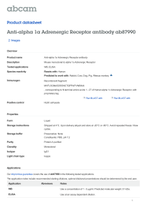 Anti-alpha 1a Adrenergic Receptor antibody ab87990 Product datasheet 2 Images Overview