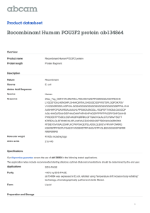 Recombinant Human POU3F2 protein ab134864 Product datasheet Overview Product name