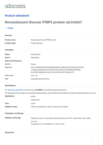 Recombinant Human PTBP2 protein ab163667 Product datasheet 1 Image Overview