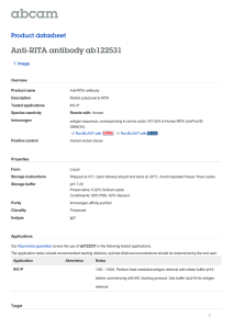 Anti-RITA antibody ab122531 Product datasheet 1 Image Overview
