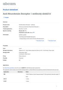 Anti-Neurotensin Receptor 1 antibody ab66216 Product datasheet 2 Images Overview
