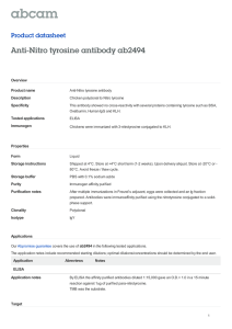 Anti-Nitro tyrosine antibody ab2494 Product datasheet Overview Product name