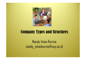 Company Types and Structures Nandy Intan Kurnia