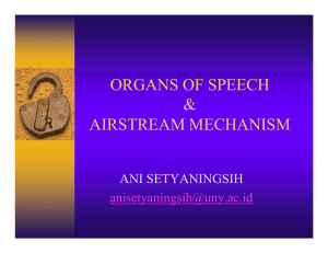 ORGANS OF SPEECH &amp; AIRSTREAM MECHANISM ANI SETYANINGSIH