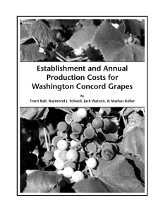 Establishment and Annual Production Costs for Washington Concord Grapes